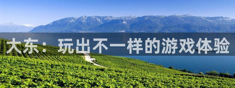 广东db电竞电子科技有限公司 联系电话
