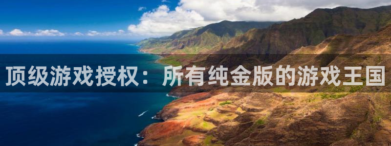 db电竞环境：顶级游戏授权：所有纯金版的游戏王国