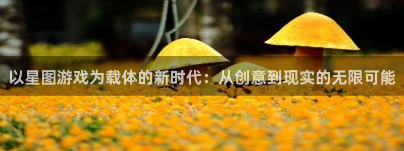 db电竞电子商务有限公司怎么样啊：以星图游戏为载体的新时代：从创意到现实的无限可能