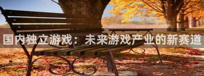 db电竞子代表什么意思：国内独立游戏：未来游戏产业的新赛道
