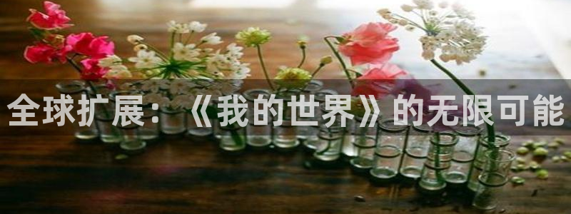 db电竞品牌：全球扩展：《我的世界》的无限可能