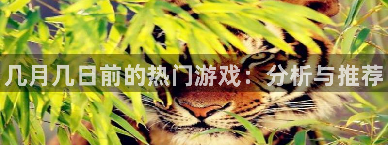 db电竞官网代理开号：几月几日前的热门游戏：分析与推荐