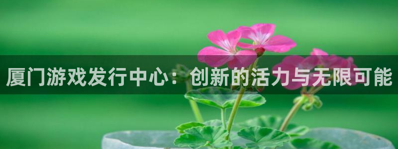 db电竞有什么寓意：厦门游戏发行中心：创新的活力与无限可能