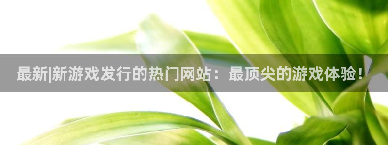 db电竞子财经丛书