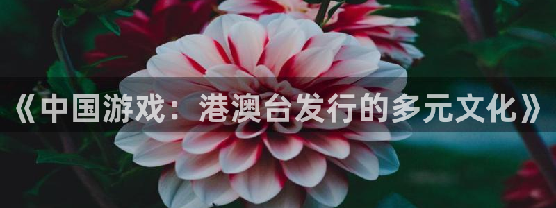 广州db电竞运动服