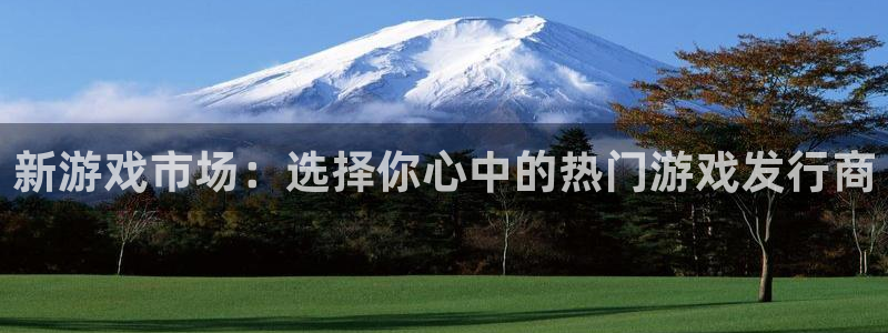 陕西db电竞子文化创意干啥的：新游戏市场：选择你心中的热门游戏发行商