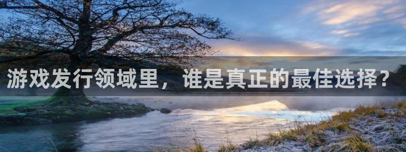 db电竞子图片：游戏发行领域里，谁是真正的最佳选择？