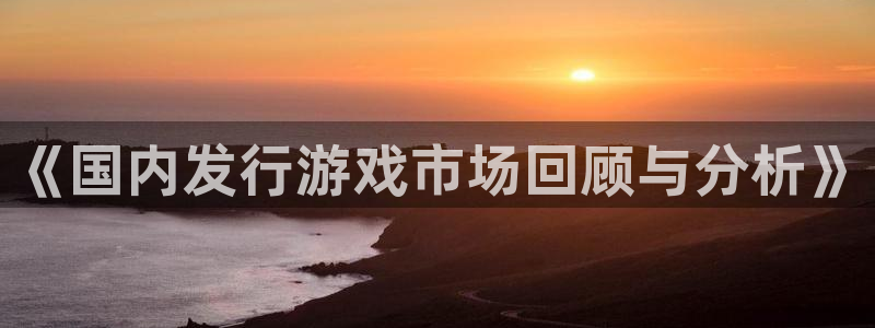 db电竞官网注册平台是什么意思：《国内发行游戏市场回顾与分析》