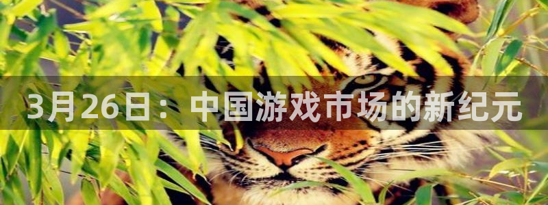 db电竞是什么品牌