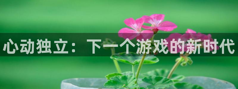 db电竞子文化创意有限公司