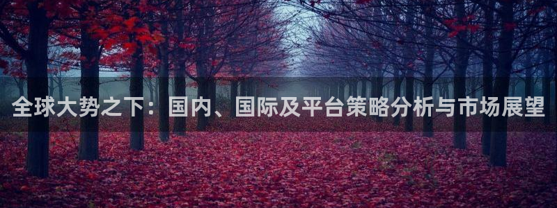 lvncesdb电竞衣服价格